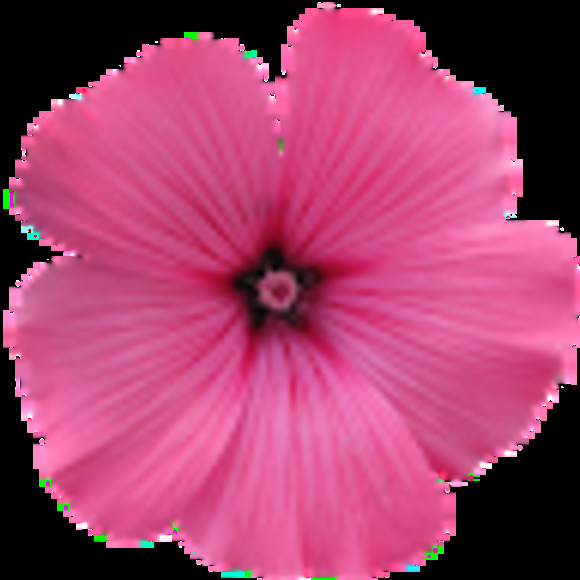 Meet your Posher, Alicia - Picture 1 of 1